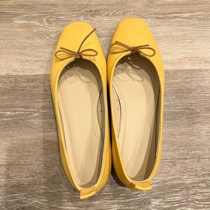 Everlane The Day Ballet Flat, Size 10M